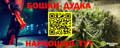 индика Дубна