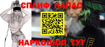 индика Дубна