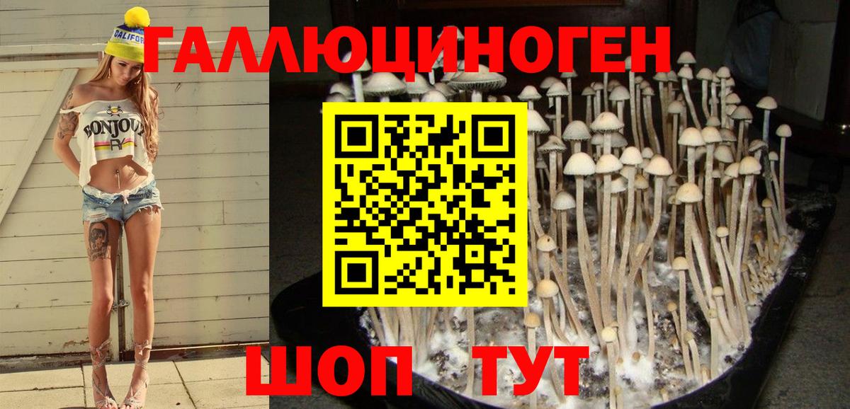 Псилоцибиновые грибы Magic Shrooms  Псилоцибиновые грибы Magic Shrooms  Миллерово  Вход с VPN 