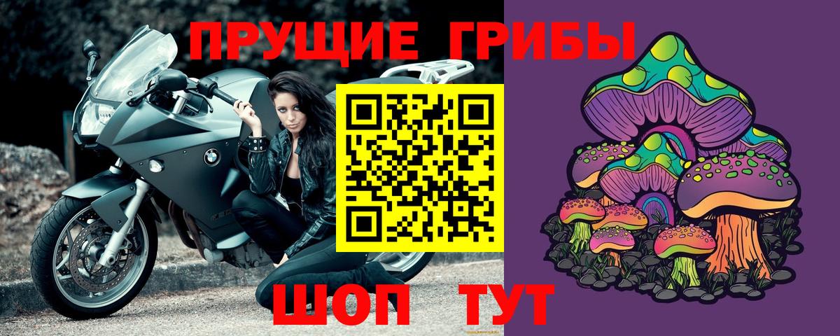 Галлюциногенные грибы Psilocybine cubensis Миллерово